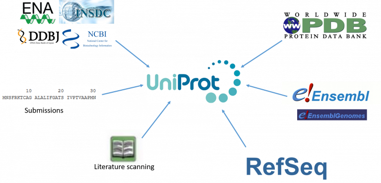 Sequence data | UniProt Sequence data | UniProt