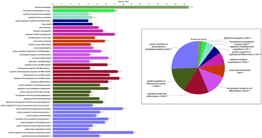 Kyoto Encyclopedia of Genes and Genomes (KEGG) pathway enrichment analysis of genes participating in fusions in T-cell acute lymphoblastic leukemia identified using ClueGO Kyoto Encyclopedia of Genes and Genomes (KEGG) pathway enrichment analysis of genes participating in fusions in T-cell acute lymphoblastic leukemia identified using ClueGO