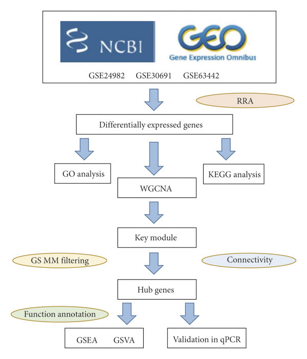 The workflow of our study. GEO, Gene Expression Omnibus The workflow of our study. GEO, Gene Expression Omnibus