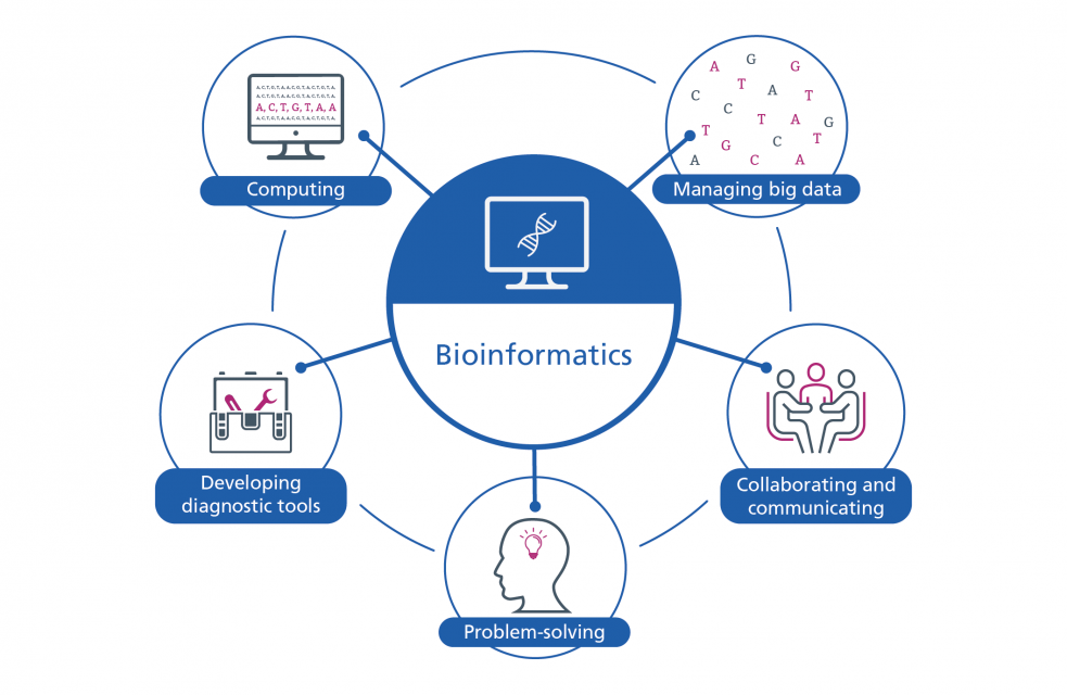 What is bioinformatics?