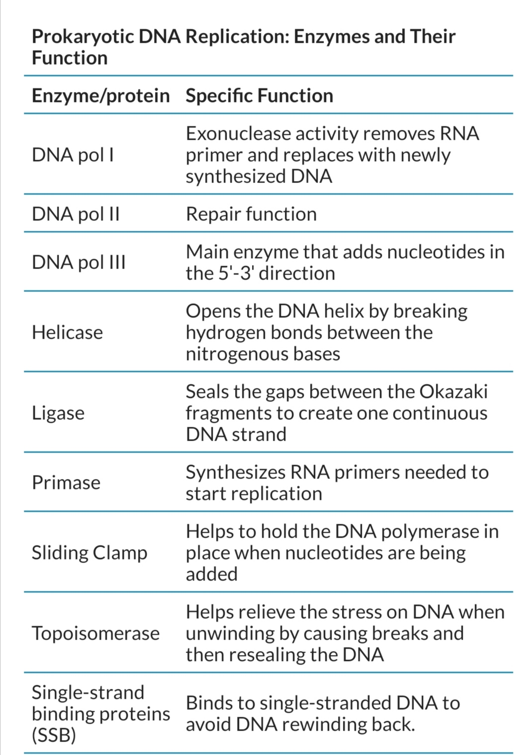 https://www.researchgate.net/post/How-many-types-of-DNA-polymerase-are-present-in-bacteria https://www.researchgate.net/post/How-many-types-of-DNA-polymerase-are-present-in-bacteria