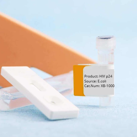 HIV-1 p24 ELISA Kit, 96 wells